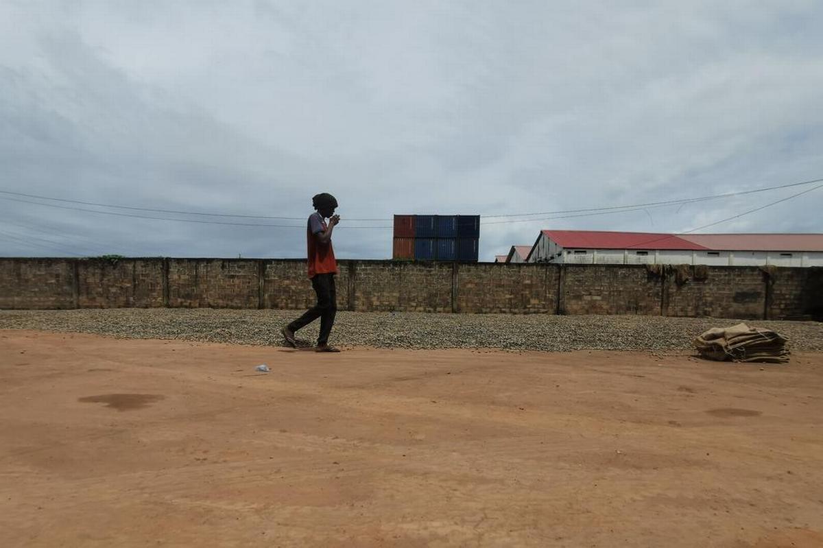 Le noci di anacardio vengono seccate al sole prima dell'esportazione negli hangar della Guinea-Bissau