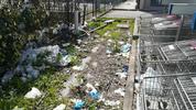 Mascherine e guanti: i rifiuti del Covid-19 finiscono in strada - Foto n. 4/4